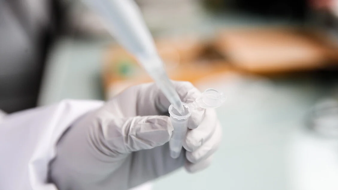 Psichedélicos em microdoses: psiquiatras apontam potencial contra ansiedade e depressão