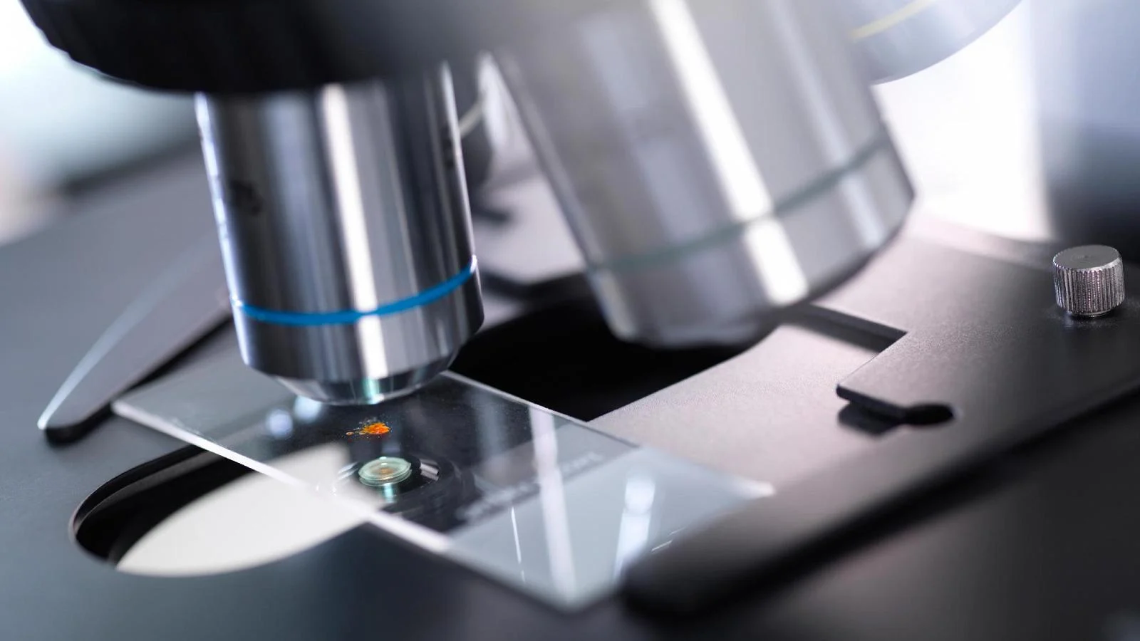 Longevidade: Mais determinada pelos genes do que pelo estilo de vida? O que diz a ciência