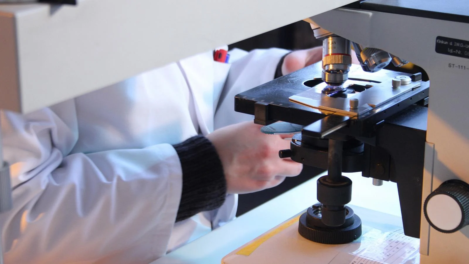 Como IA e vigilância genômica podem antecipar surtos do vírus Nipah: lições de One Health