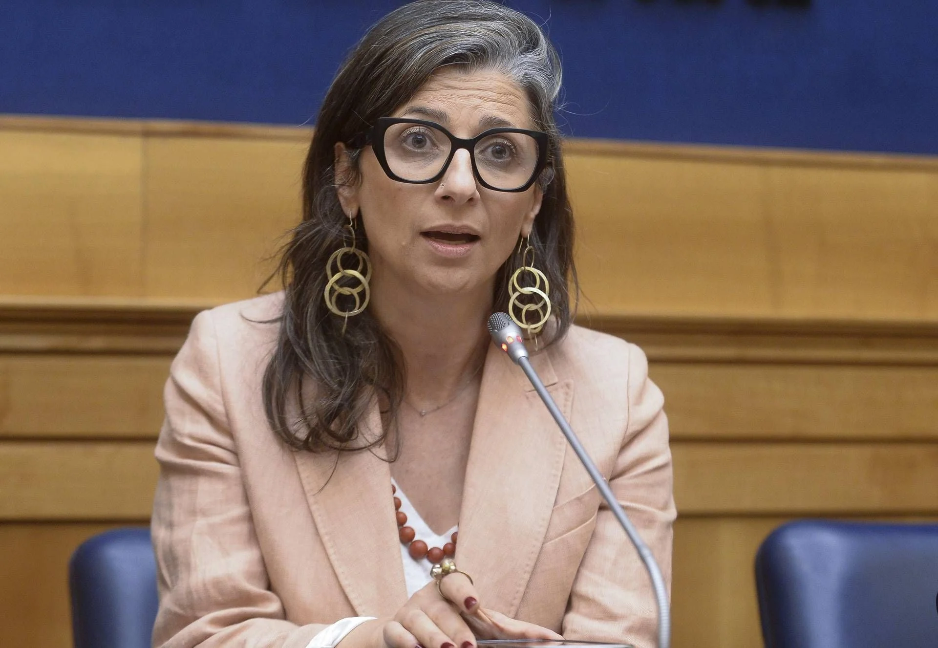 Polêmica na Câmara: relatora da ONU Francesca Albanese apresenta relatório sobre o 'Genocídio de Gaza' e provoca reação da maioria