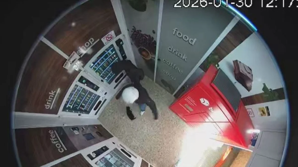 Nerina, gata de colônia agredida em Siracusa: câmera flagra jovem dando chute dentro de distribuidor