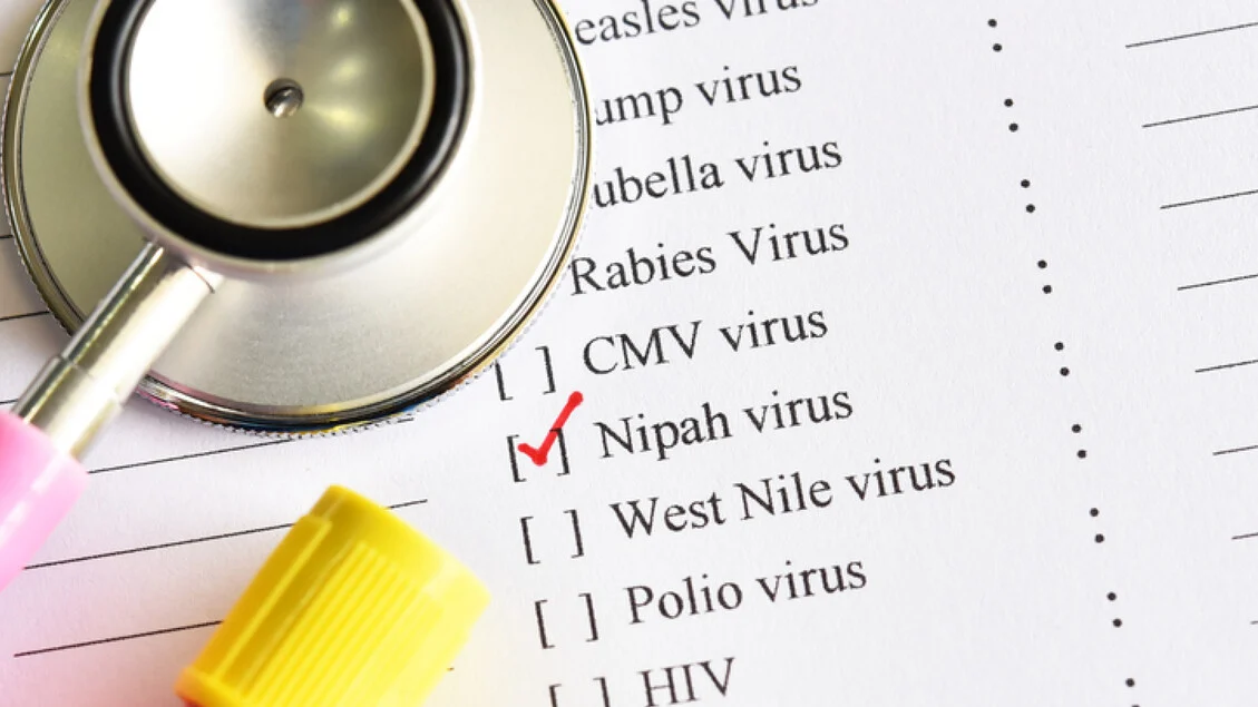 De Nipah ao coronavírus canino: por que a vigilância global segue essencial