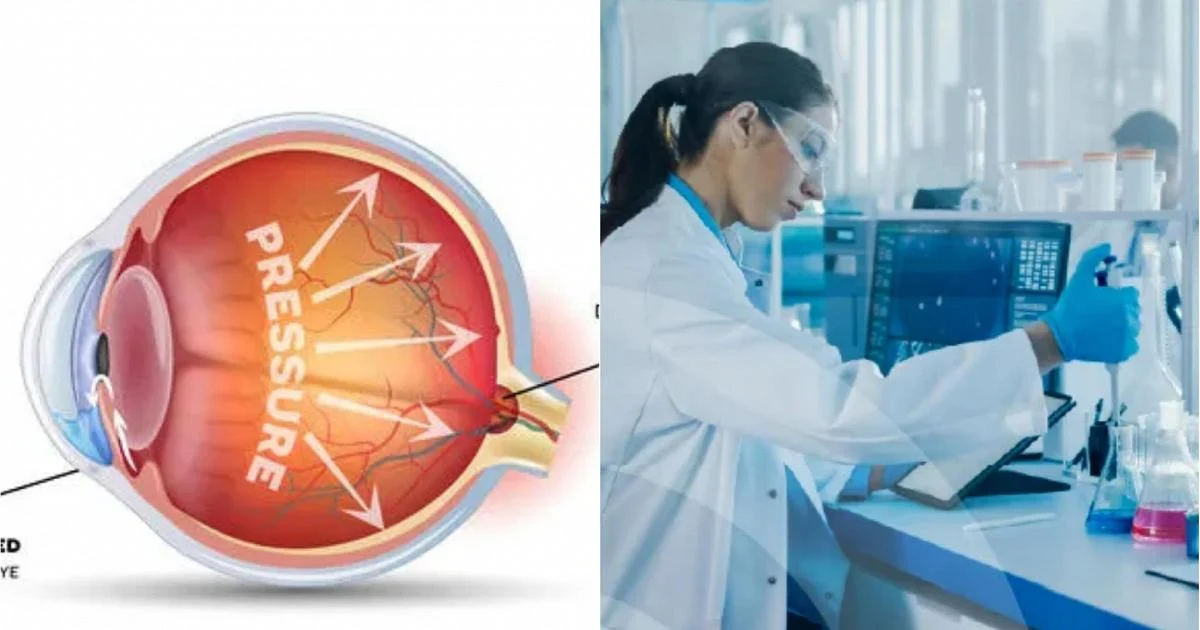 Glaucoma: Cresce a prevenção na Itália e a IA vira aliada no diagnóstico precoce
