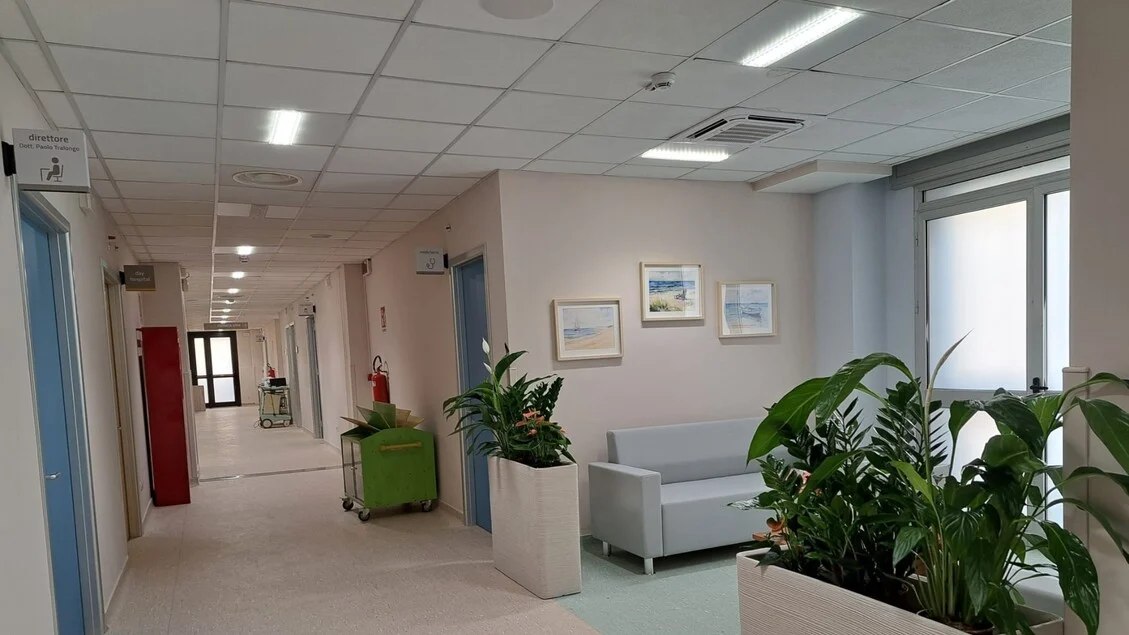 Perrone (Aiom): 'Câncer exige abordagem a 360° — da saúde mental à proteção da renda'