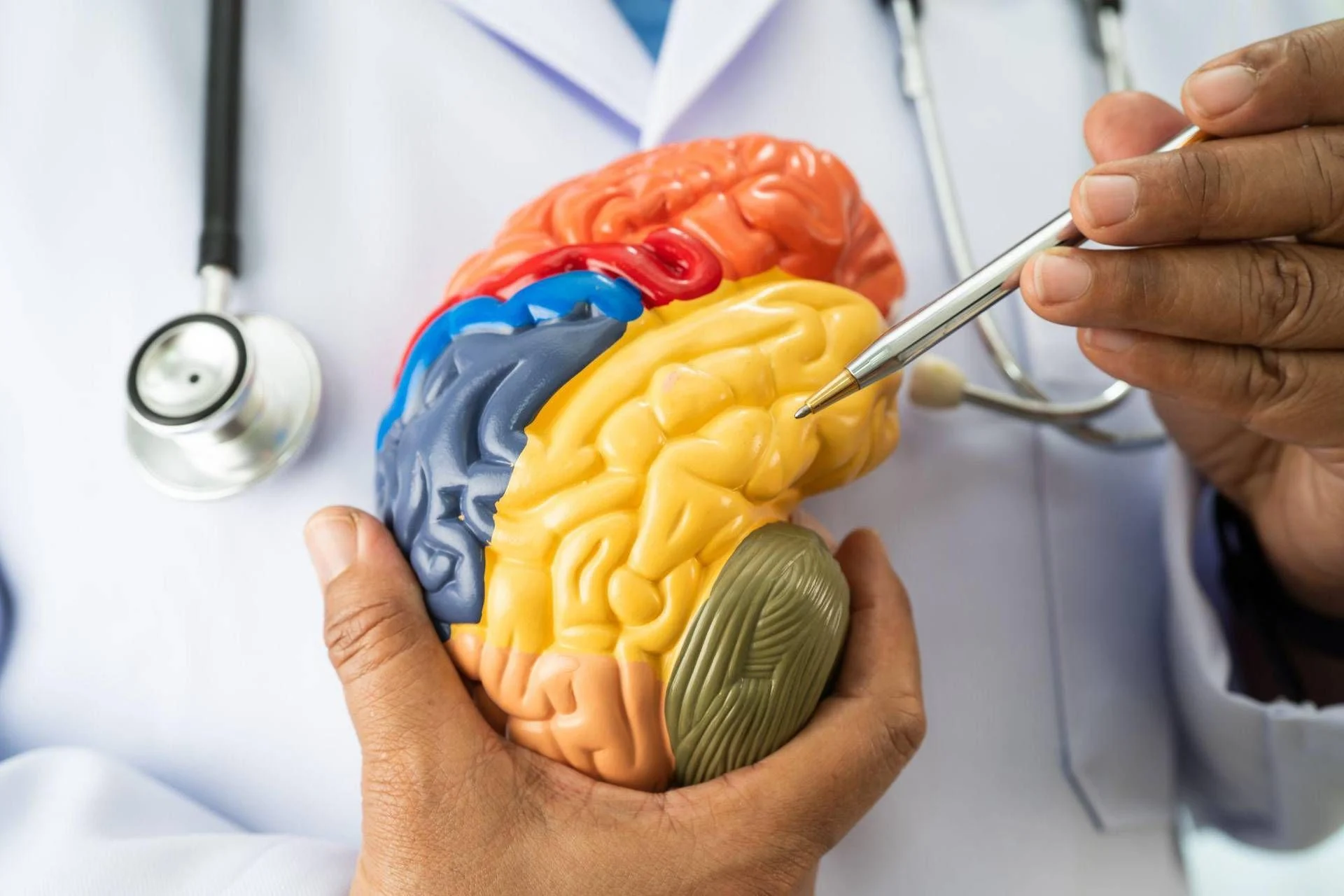 Nasce academyX: formação avançada para neurologistas na luta contra a miastenia grave