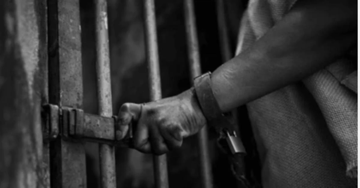 A sociedade antes do governante: o contrato social que não lemos e os direitos que não reivindicamos