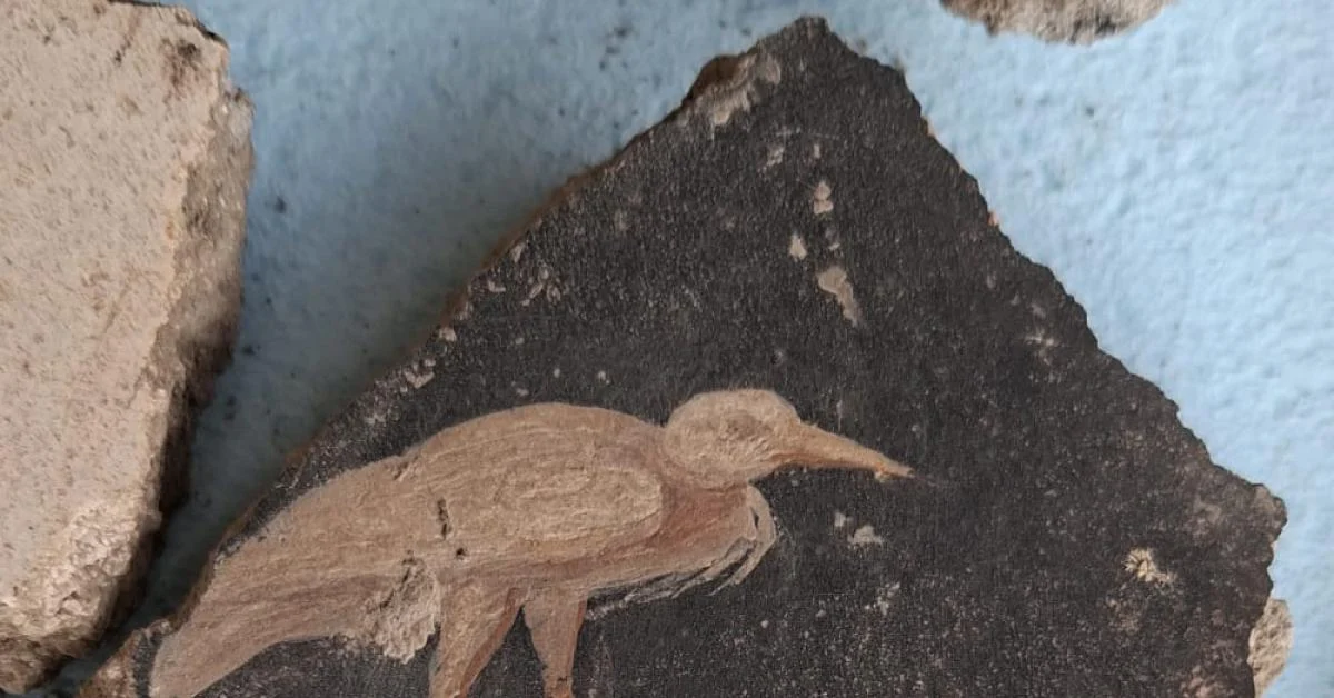 Villa Sora (Torre del Greco): achados de fragmentos pictóricos revelam decoração refinada com financiamento de €150.000