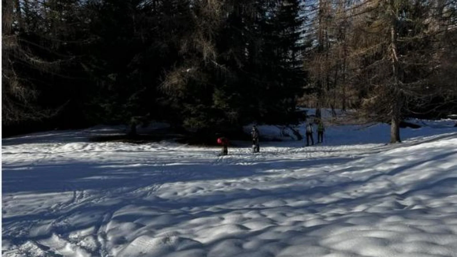 Grande avalanche na Val di Fiemme deixa quatro esquiadores soterrados; um em estado gravíssimo
