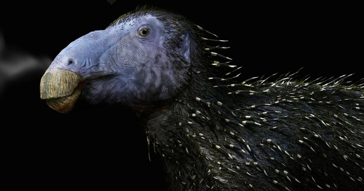 Scoperto un dinosauro con aculei come un porcospino — agi.it