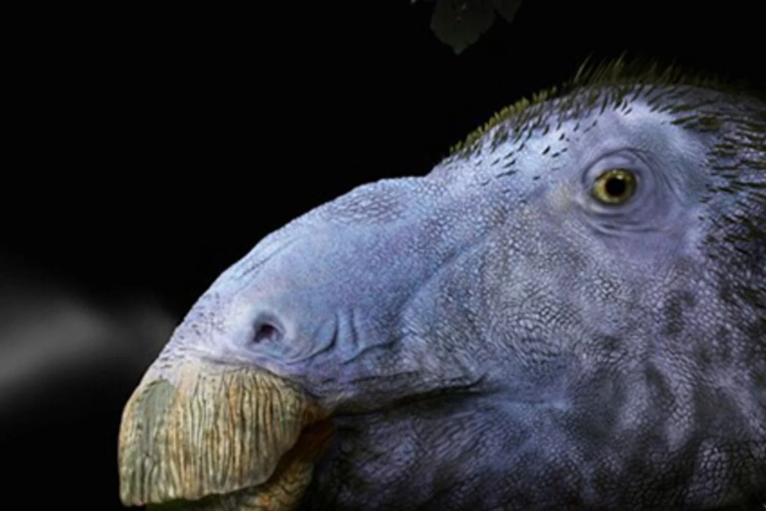 Haolong dongi: descoberta na China revela dinossauro com espinhos semelhantes aos de um porco‑espinho