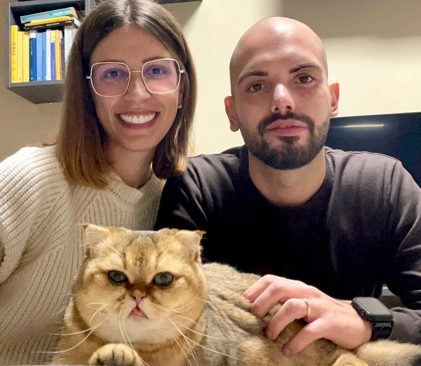 La storia del gatto Ernesto, il Garfield dalle «ossa di cristallo». Abbandonato di notte nel gattile, ora ha una famiglia — corriere.it