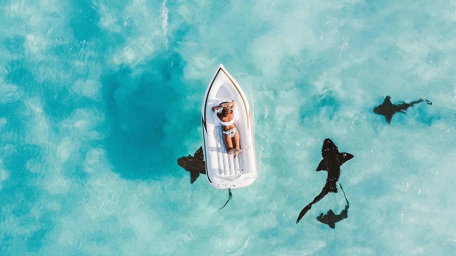 84% dos viajantes usam programas de fidelização para poupar: como pontos e milhas mudaram a jornada