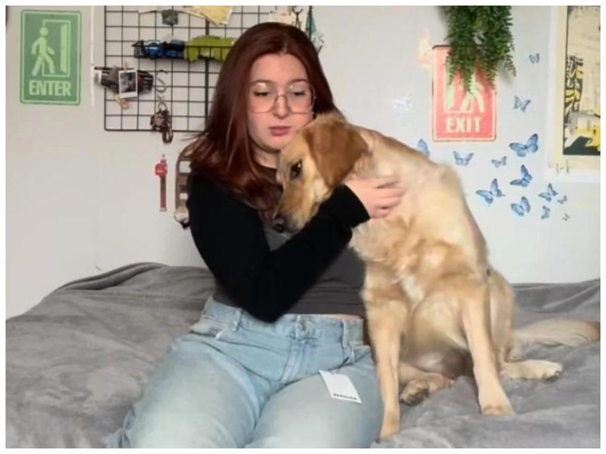 Giada Smania quebra o silêncio após 63 dias: 'Perdi uma parte de mim' — fundos de campanha vão ajudar outros cães