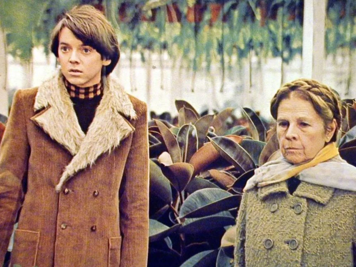 Morre Bud Cort, a face ingênua de 'Harold e Maude' que virou ícone da contracultura