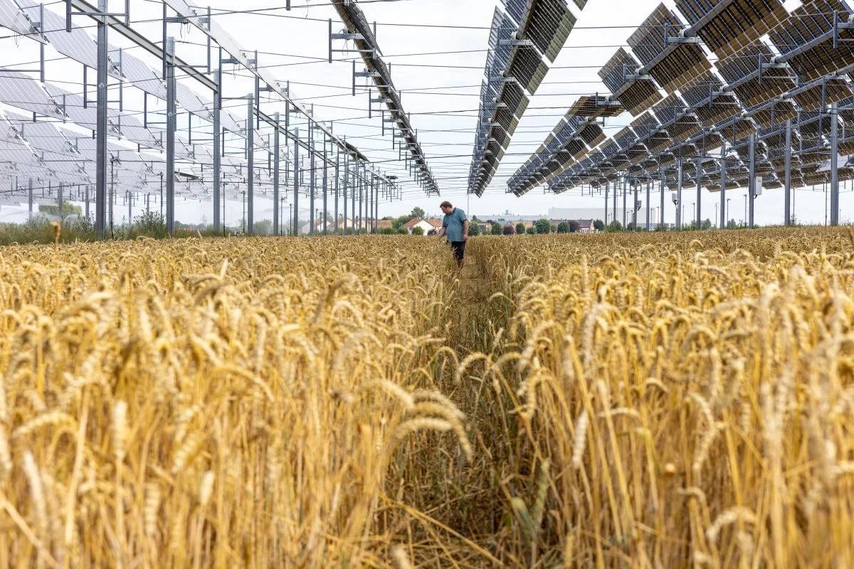 Parlamento Europeu aprova regra unânime para proteger agricultores de práticas comerciais desleais