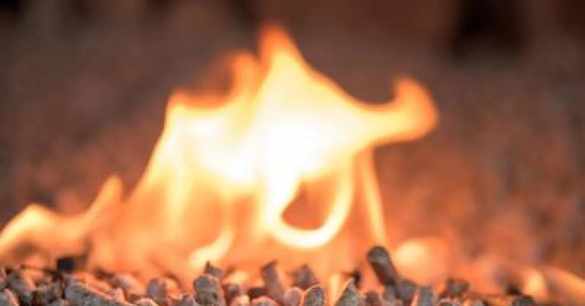 Mais de metade das famílias italianas considera o aquecimento a biomassa como alternativa ao gás, mostra pesquisa Nomisma