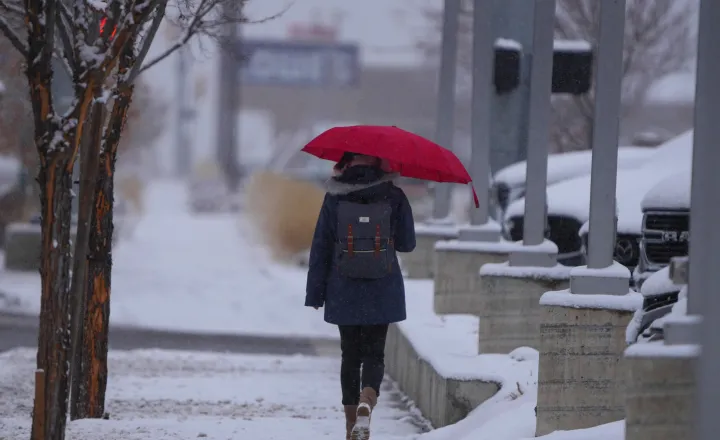 Resistindo às Mudanças Climáticas: A importância do autocuidado