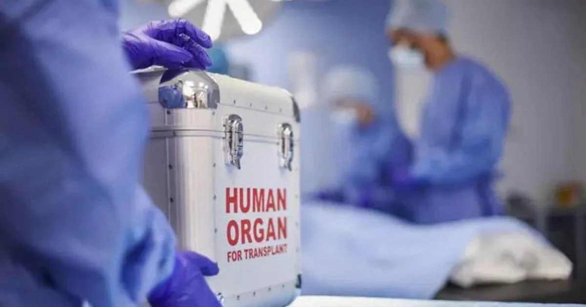 Transplante de coração: cinco horas que decidem entre vida e perda de órgãos