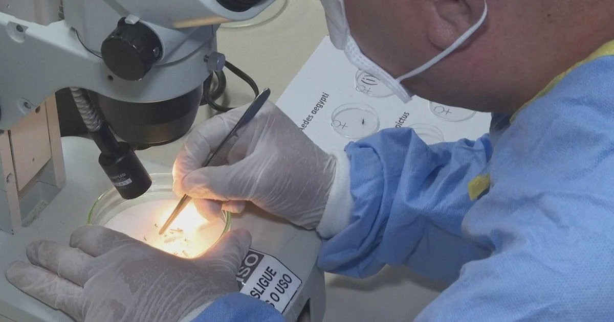 Panamá registra aumento de mortes por influenza e surtos de dengue: autoridades intensificam ações