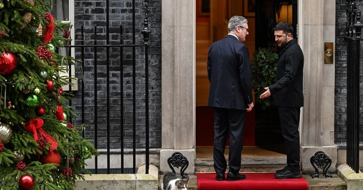Larry, 15 anos de 'reinado' em Downing Street: O gato que virou pilar simbólico da estabilidade britânica