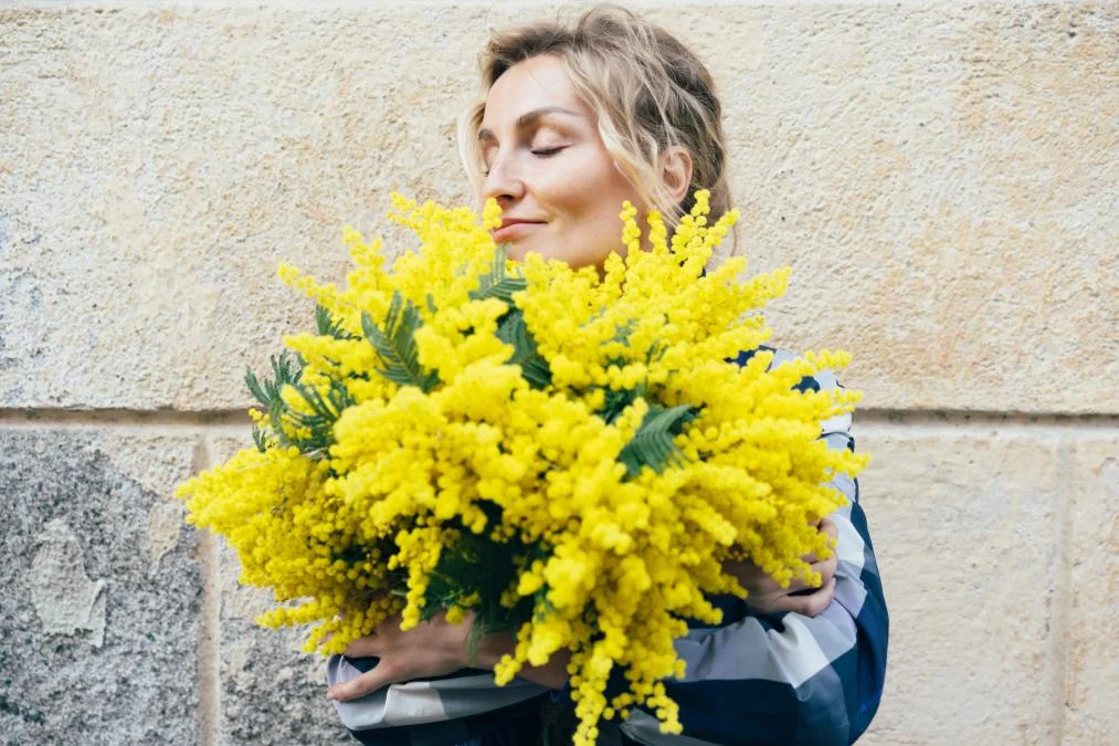 Mimosa: A Flor da Esperança e da Resistência na Cultura Italiana