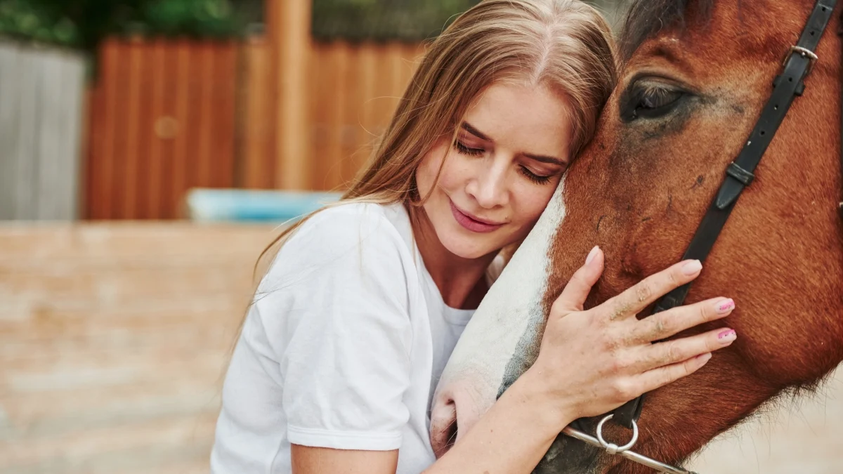Parlamento inicia tramitação de proposta para proibir consumo e abate de equídeos na Itália