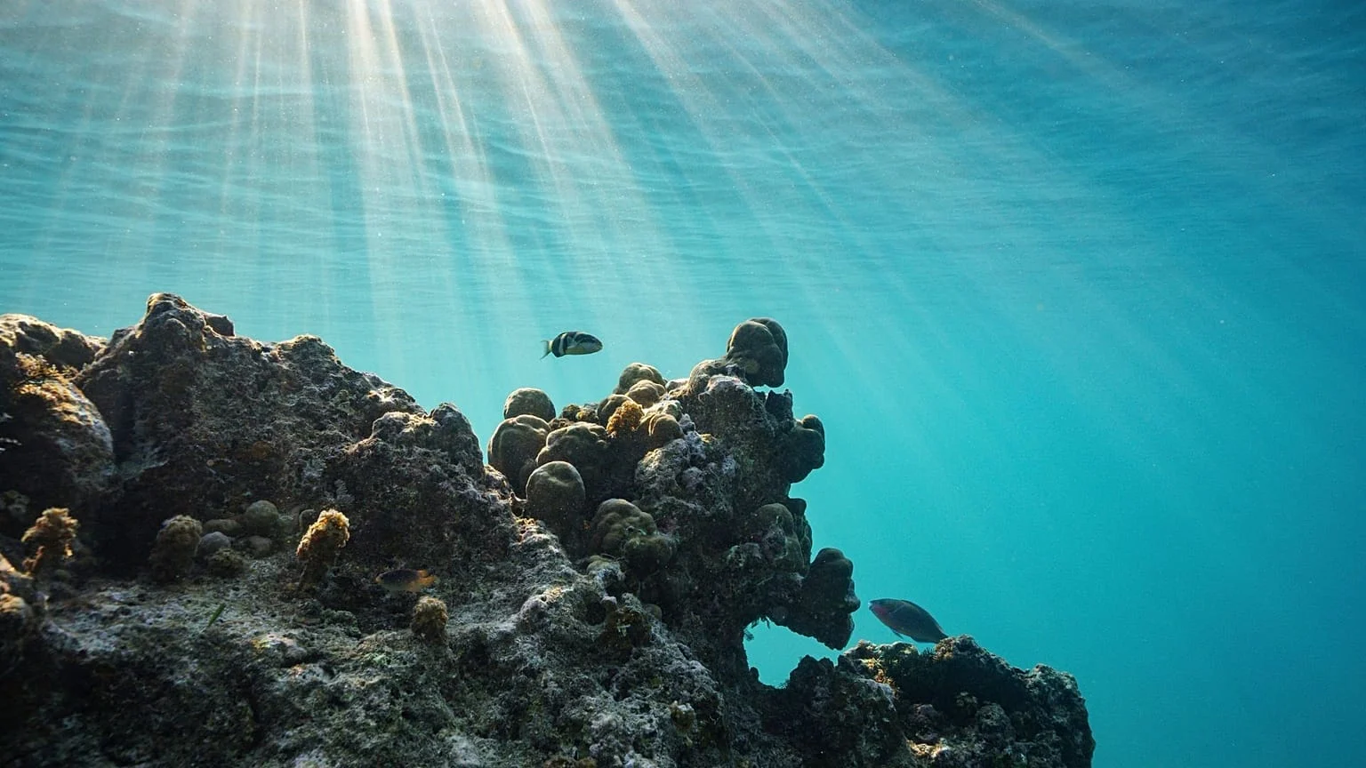 Vanuatu na ONU: pedido de resarcimentos climáticos provoca reação dos EUA e alerta sobre setor industrial