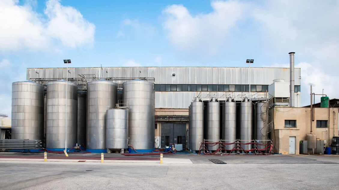 Empresa de Trapani cria suplementos a partir da extração natural das carrube, única no mundo