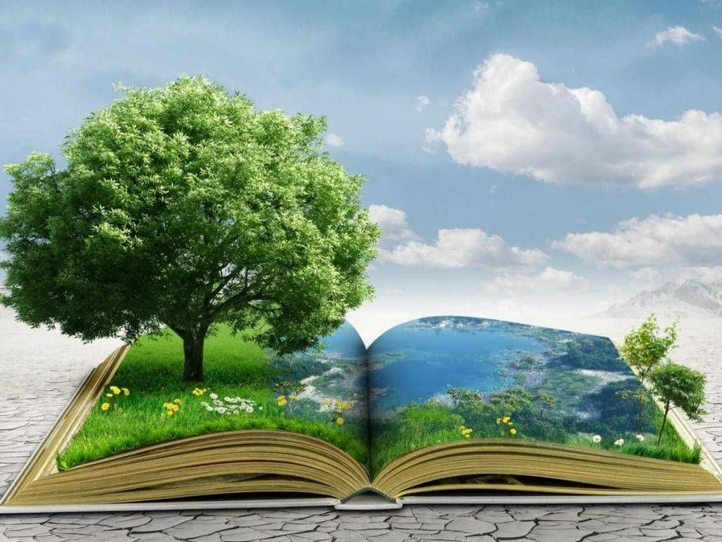 Treviso 2026: Fórum Internacional eleva a ecologia integral e a cooperação transatlântica