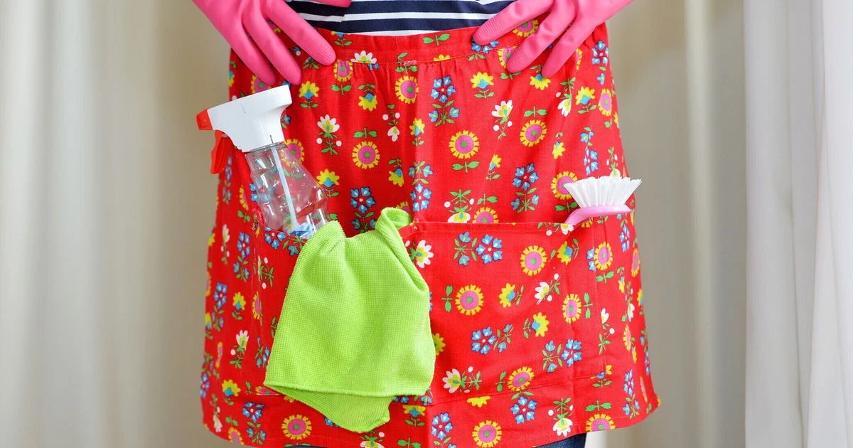 Click day para trabalho doméstico inicia com 13.600 vagas em 2026 e alerta sobre a regularização do setor