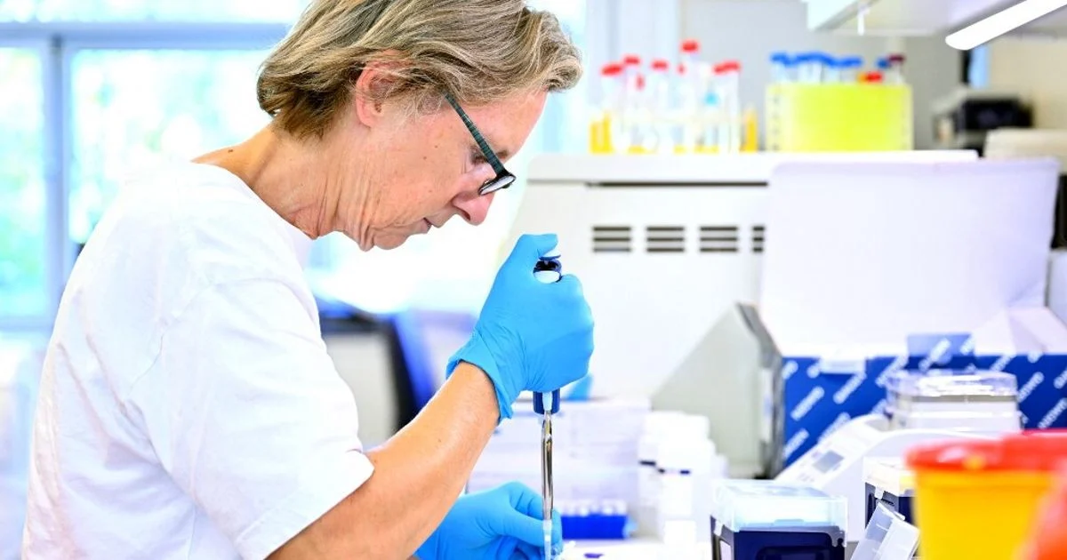 Rigidez tecidual pode explicar aumento de câncer de cólon-retal em jovens, indicam pesquisadores