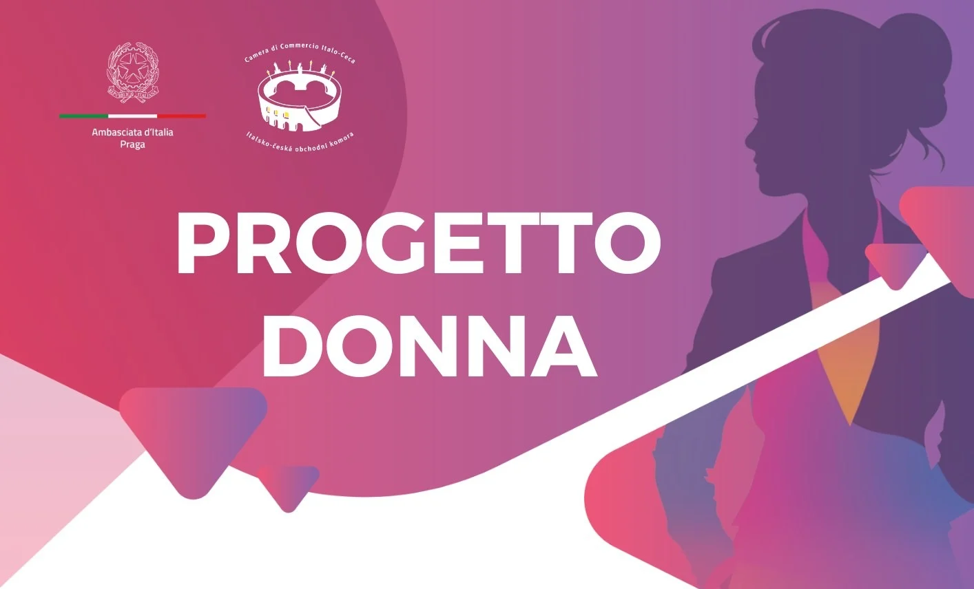 Paridade de gênero e competitividade: Iannicelli alerta para talentos perdidos em setores técnicos