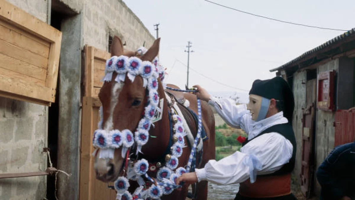 Cavalo morre após petardo durante a Sartiglia em Oristano; animalistas pedem fim dessas manifestações
