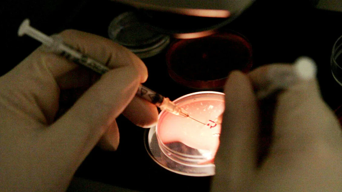 Enpab abre edital para 4 vagas de formação prática em biologia da reprodução em Nápoles