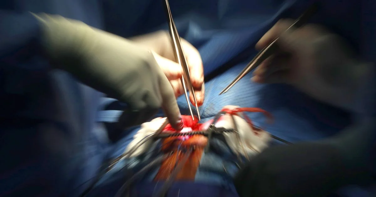 Especialista: erros na preservação do coração foram inconcebíveis no transplante do bebê de Nápoles