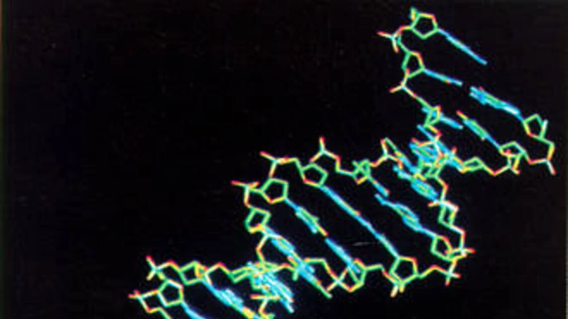 Doenças raras: triagem neonatal e genômica ampliam chances de diagnóstico precoce