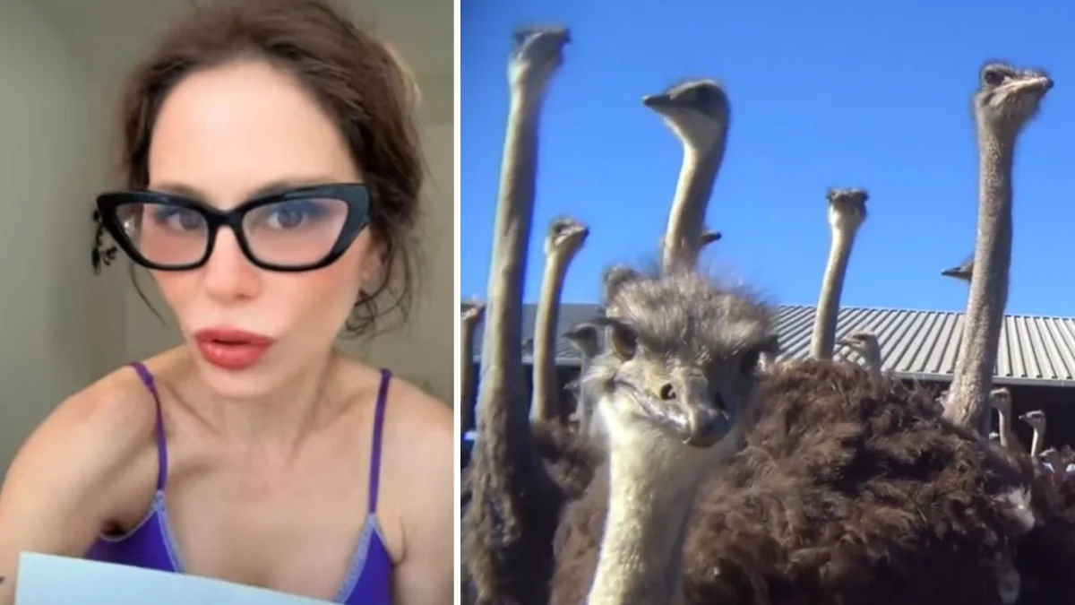 Naike Rivelli pede a Carlo Conti: proibir penas de animais no palco de Sanremo