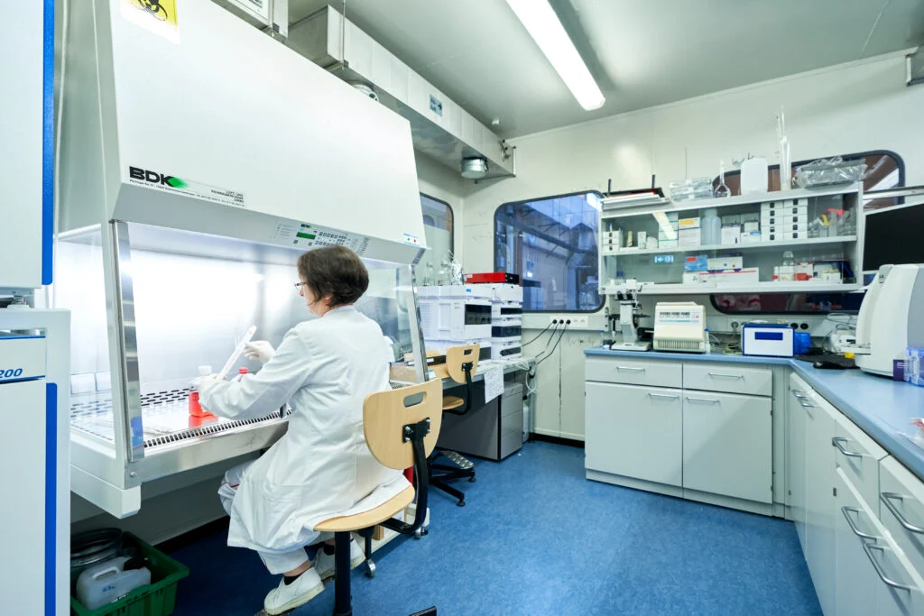 IA na saúde: consórcio europeu THCS defende transformação centrada nas pessoas