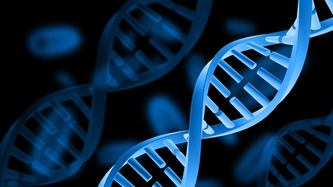 Mapa do DNA identifica variantes ligadas à pressão, colesterol e outras doenças comuns