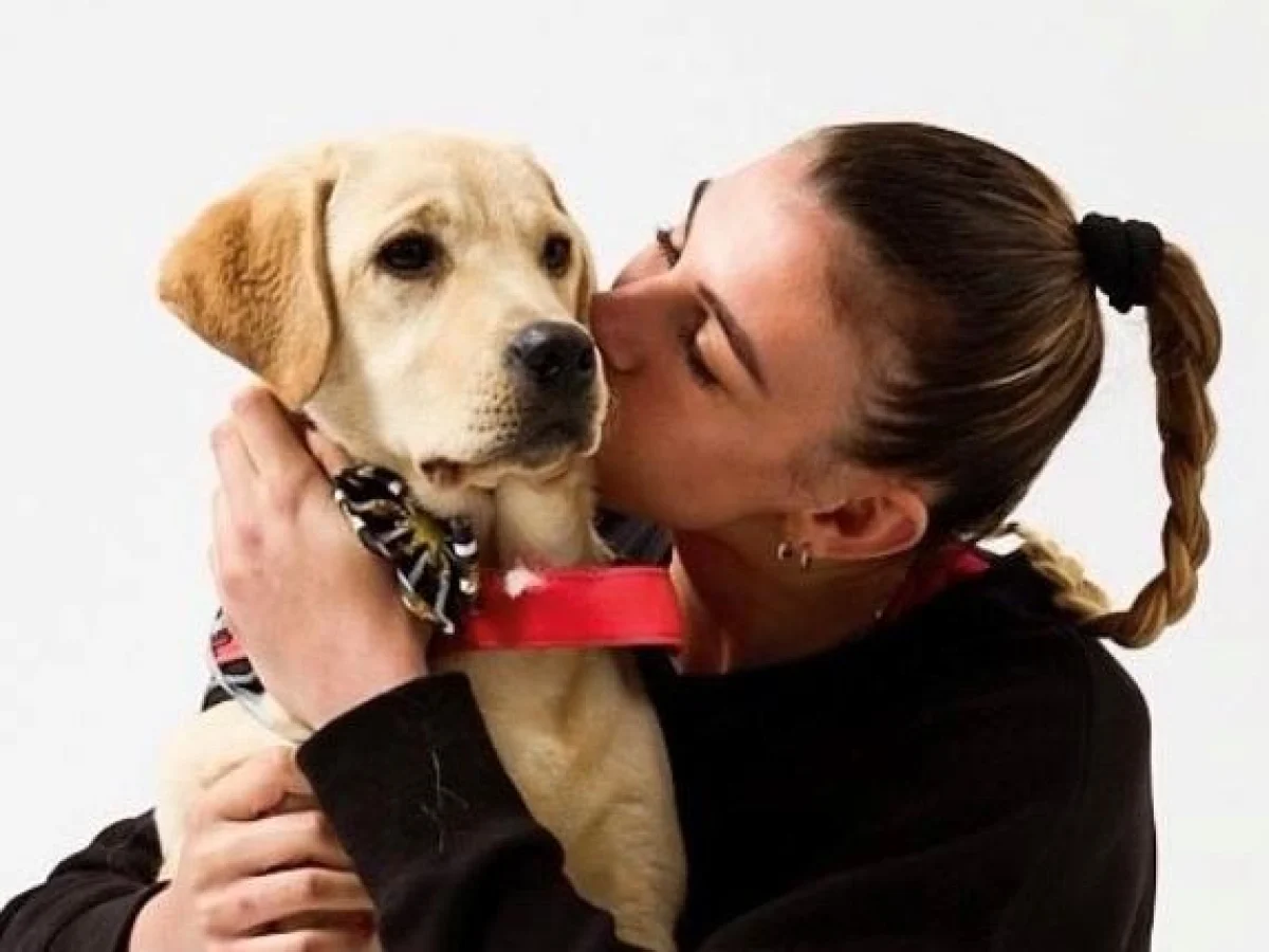 Alessia Orro chora a perda da labradora Palmita: “Você esperou meu retorno para se despedir”