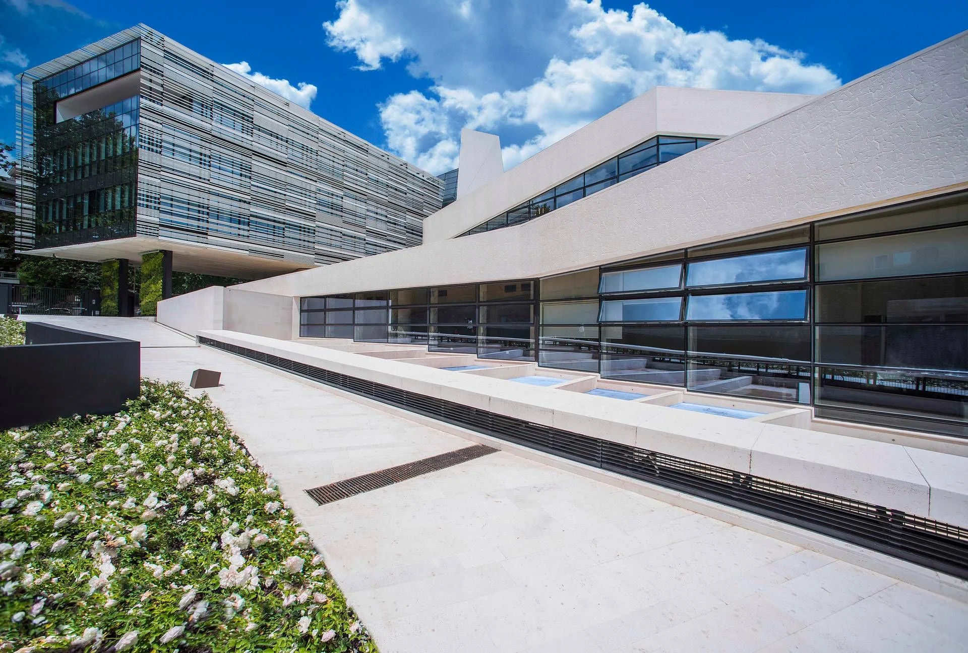 Angelini Academy e IE Business School lançam programa com 1 milhão de euros para 10 bolsas de estudo