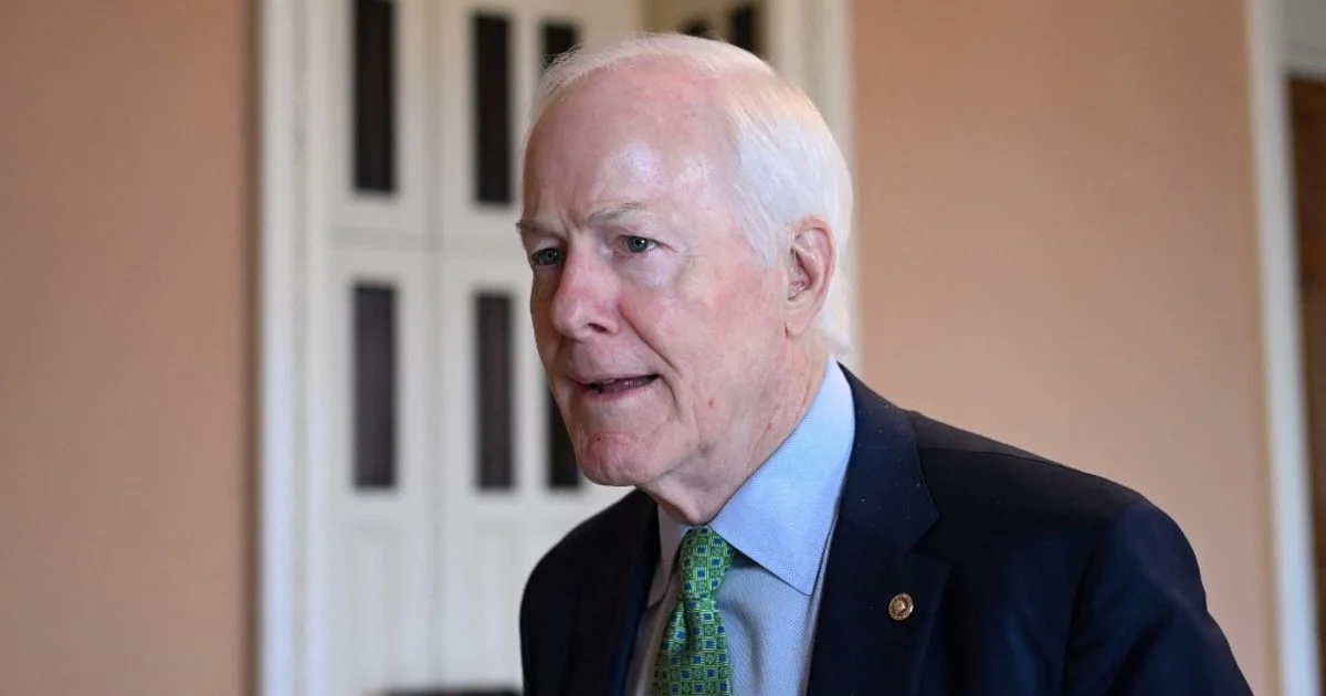 Primárias do Texas 2026: Cornyn sob pressão, Paxton lidera e democratas apostam em Talarico vs Crockett