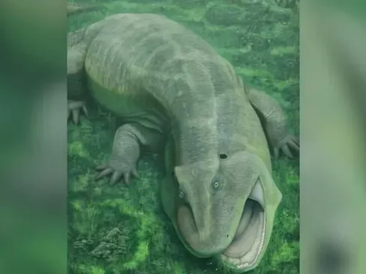 Tanyka amnicola: descoberta de salamandra com mandíbula contorcida de 275 milhões de anos