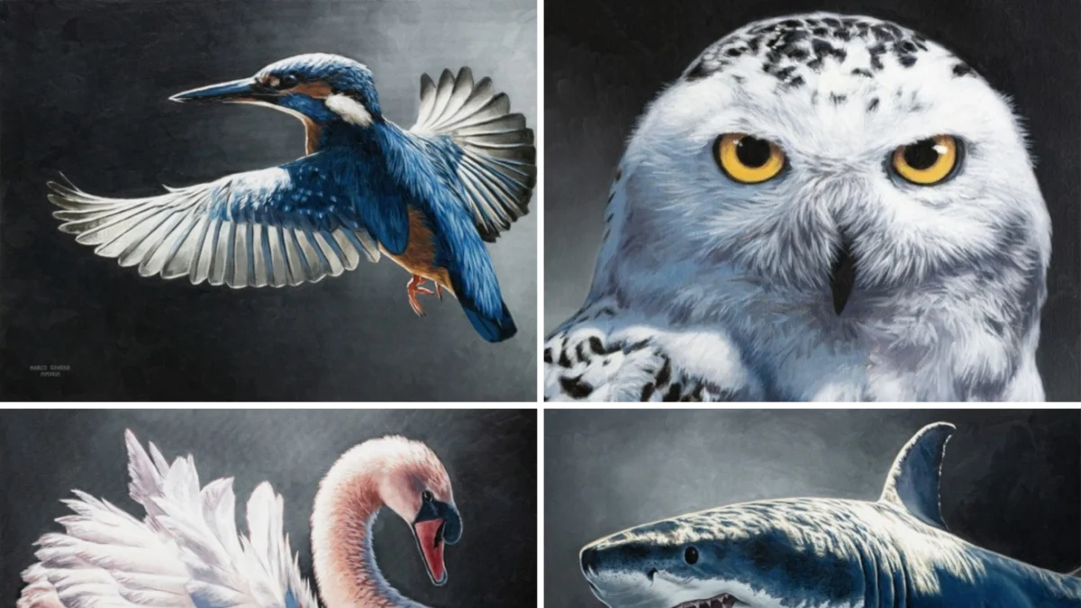 Wild by Design: os retratos animais de Marco Grasso iluminam o ADI Design Museum em Milão