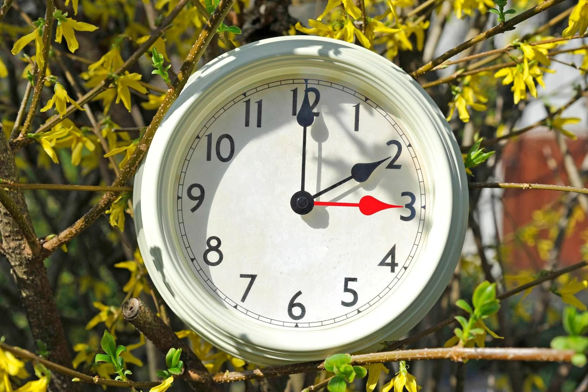 Horário de Verão 2026: EUA avançam relógios na madrugada entre 7 e 8 de março