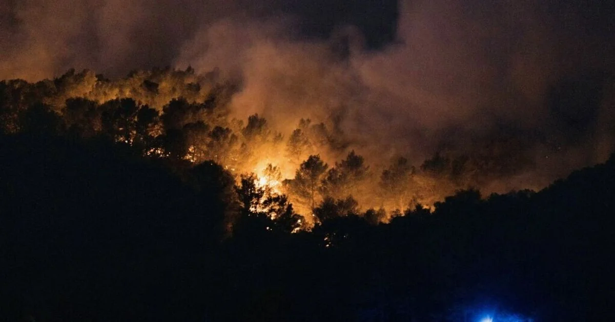 Estudo alerta: danos às florestas europeias podem dobrar até 2100 com aumento de incêndios e pragas