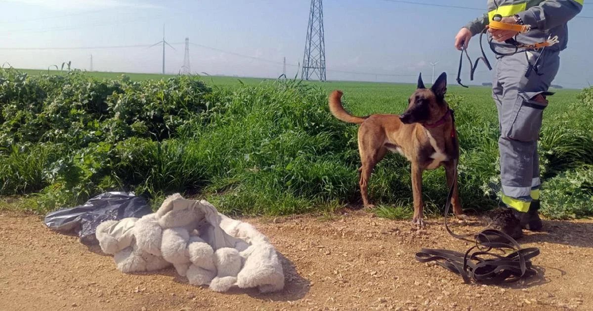 Desaparecimento de Elena Rebeca: buscas ampliadas a poços e casarios entre Foggia e San Severo