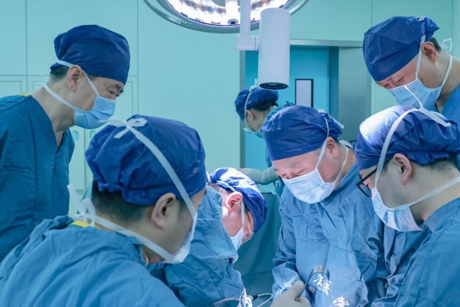 Fígado de porco geneticamente modificado mantém paciente vivo até transplante humano em Xi'an