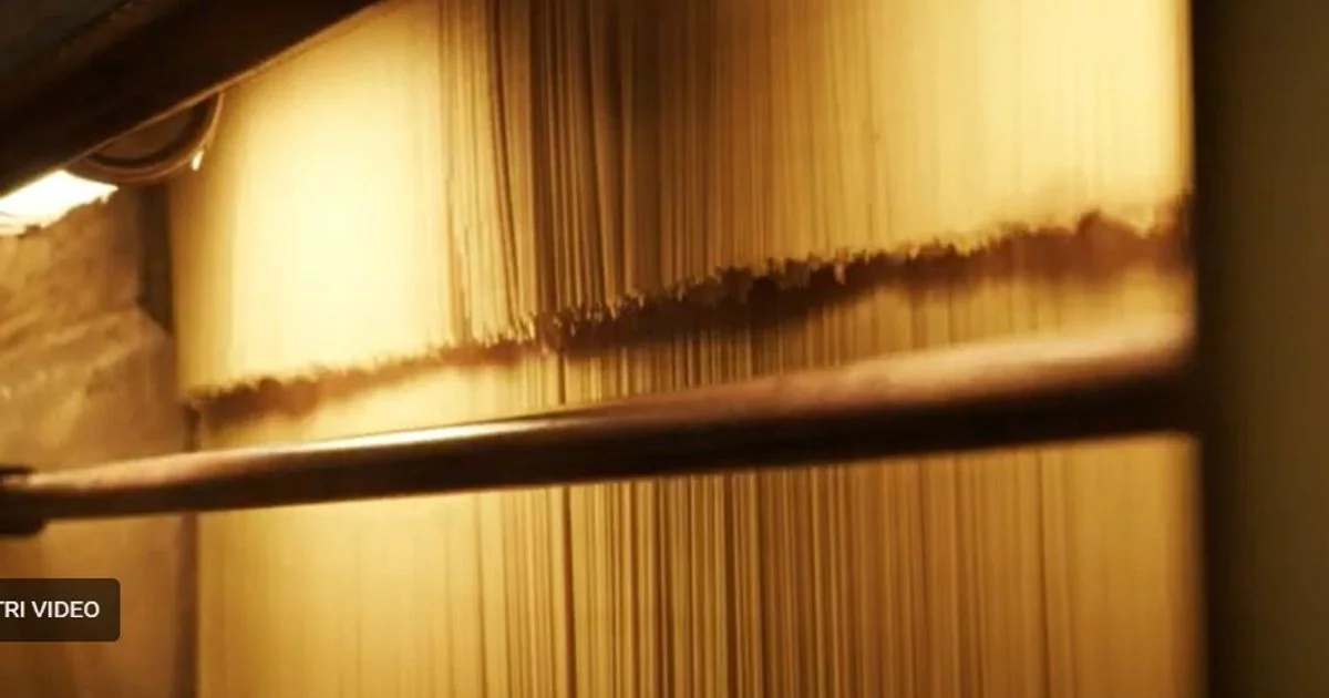 Granoro alerta: «Tarifas de guerra» disparam custos de exportação e pressionam preço da pasta