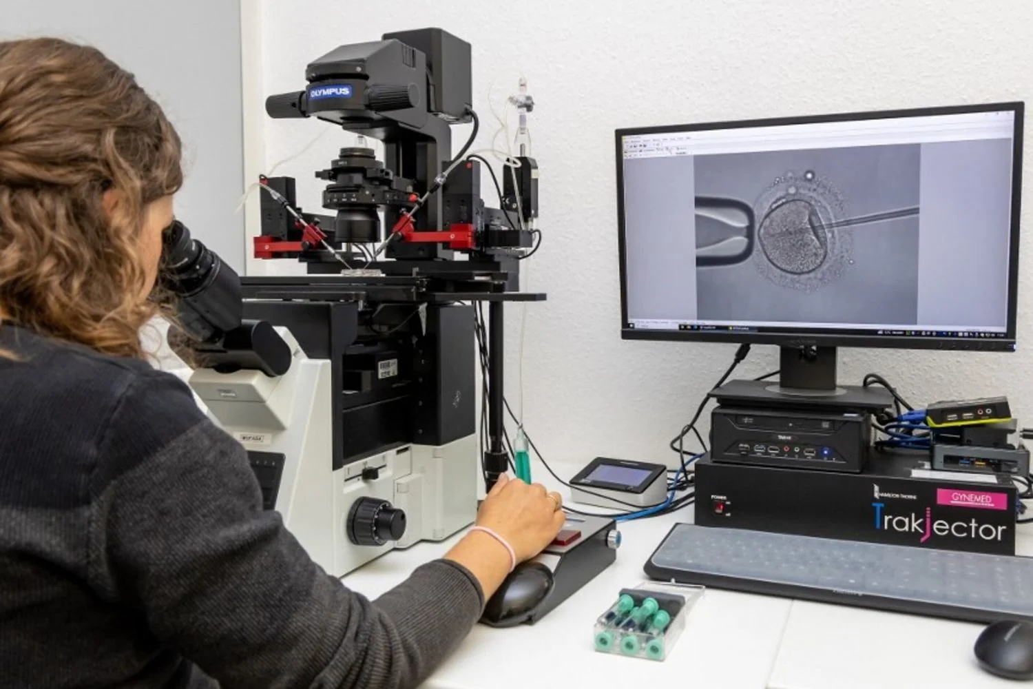 Países Baixos: ginecologista usou próprio esperma em pelo menos 16 inseminações não autorizadas